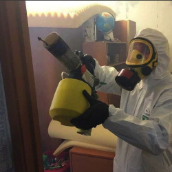 Уничтожение клопов в квартире. Кинель